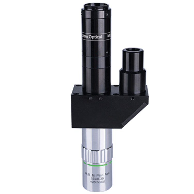 Customized Lens CL-10006